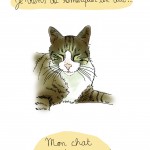 Pauvre chat - Droits d'auteur : Camille Skrzynski